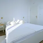 Parcela 3*